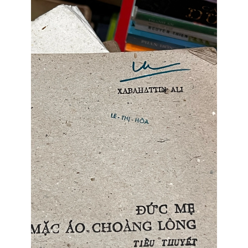 Đức mẹ mặc áo choàng lông - Xabahattin Ali 392015