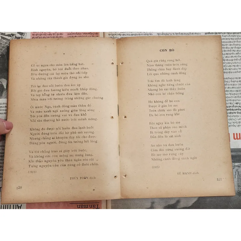 Tiểu thuyết của PIERRE REY - BÃI BIỂN CÂY CỌ (517 trang) 727197