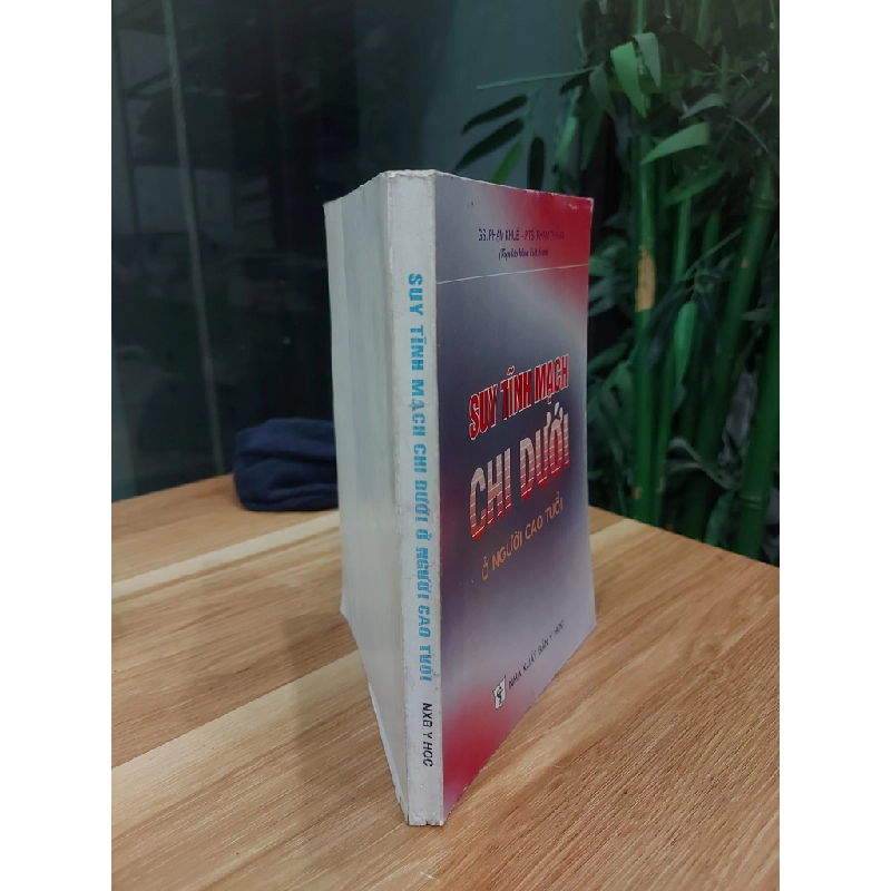 Suy Tĩnh Mạch Chi Dưới Ở Người Cao Tuổi 530619