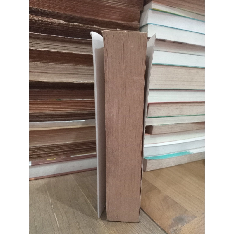 Soul mountain - Gao Xingjian 763651