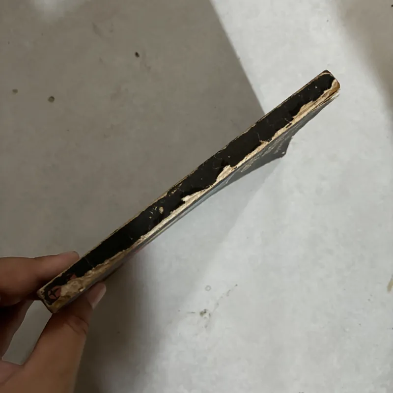 Tàu vũ trụ trên quỹ đạo 1009740