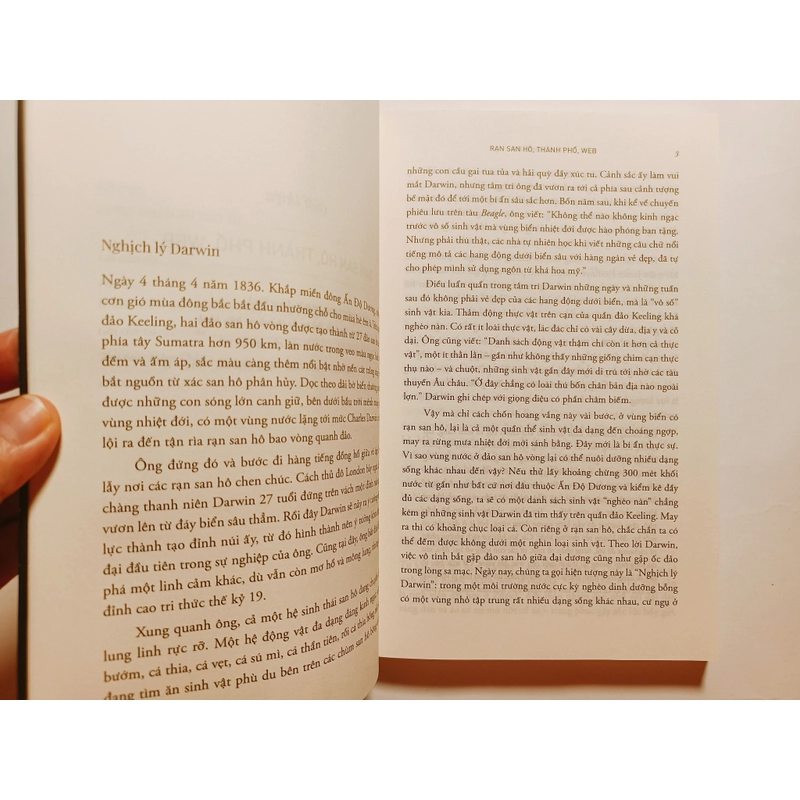 7 Mô Hình Khởi Nguồn Ý Tưởng - Steven Johnson

 444919