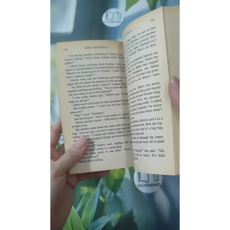 To the Nines - Janet Evanovich 1027216