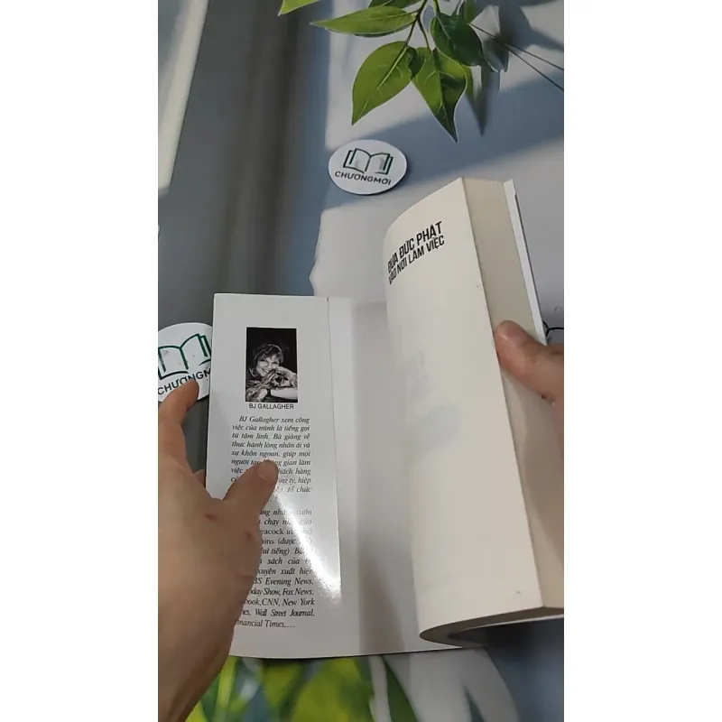 Đưa Đức Phật Vào Nơi Làm Việc - Franz Metcalf & B.J. Gallagher 727221