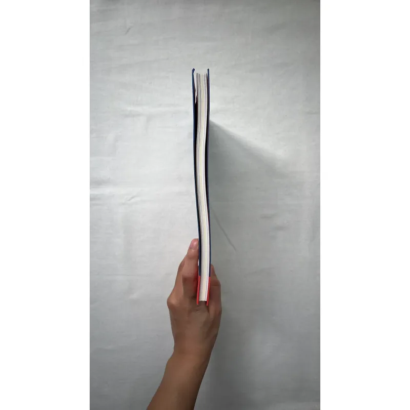 The Essential Van Gogh - Hans den Hartog Jager 1028889