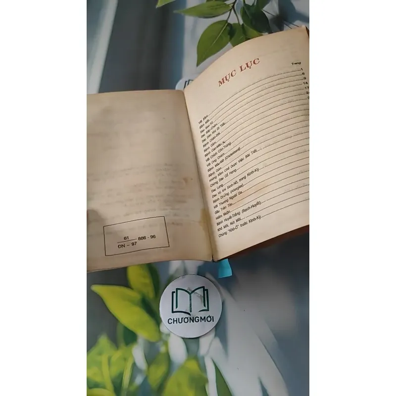 Cẩm Nang Mẹo Vặt Y Khoa Thực Dụng - Đặng Thị Ngọc Trâm 727271