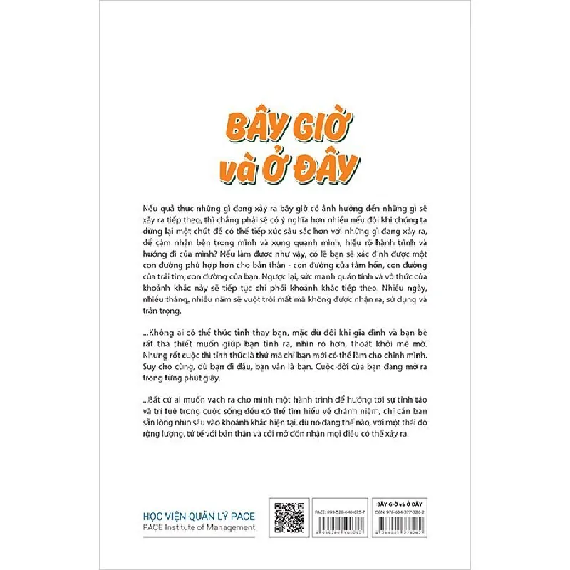 Bây Giờ Và Ở Đây - Thiền tỉnh thức trong cuộc sống hàng ngày - Jon Kabat-Zinn 331446