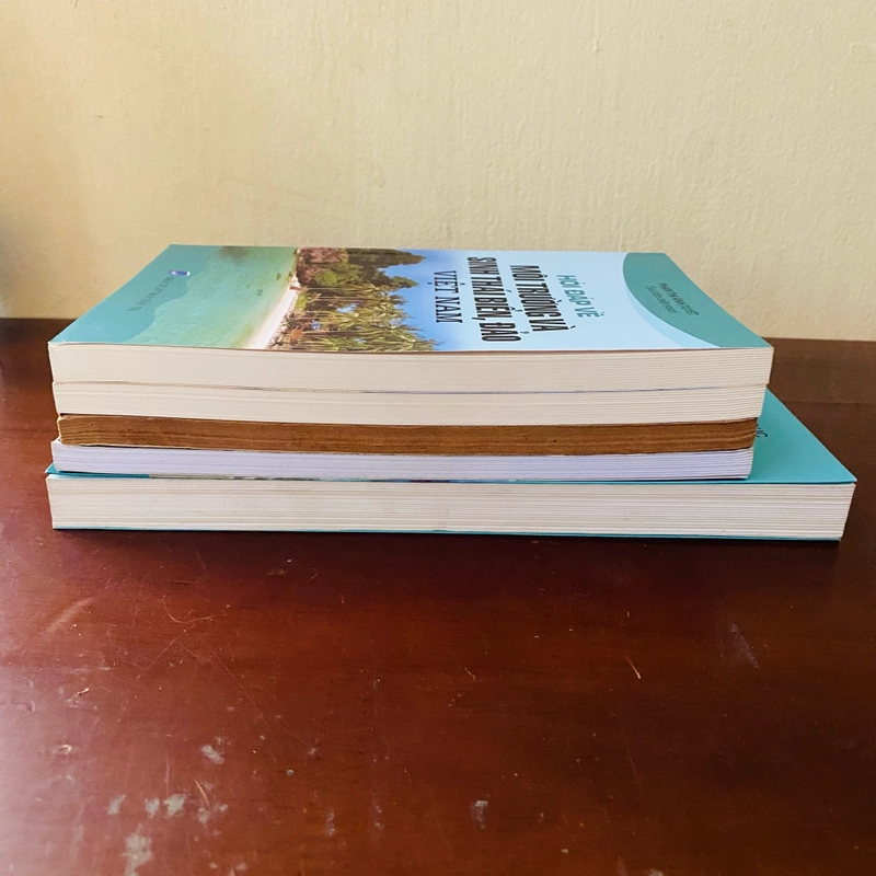Combo sale 5 cuốn về biển đảo Việt Nam  446522