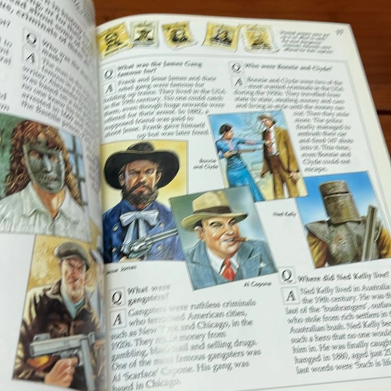 PICTURE BOOK 100 questions and answers crime and punishment 536306