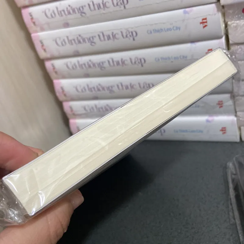 (Tiểu thuyết) - Lời Hứa - Damon Galgut 990969