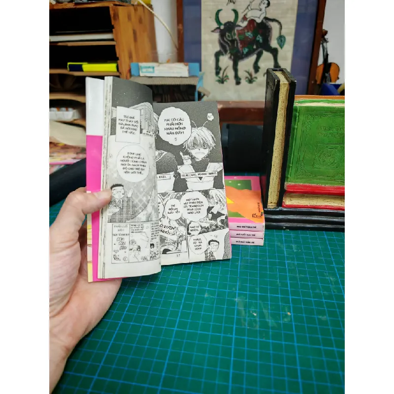 Truyện tranh Hồng Ngọc - Meca Tanaka 460833