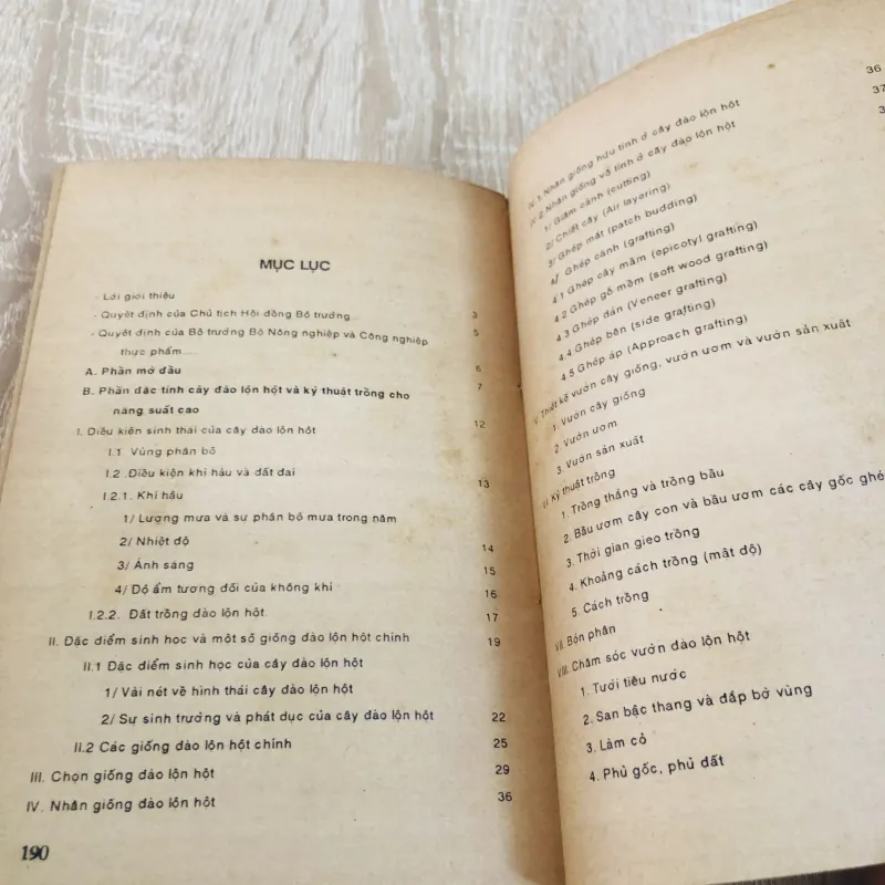 CÂY ĐÀO LỘN HỘT 960189