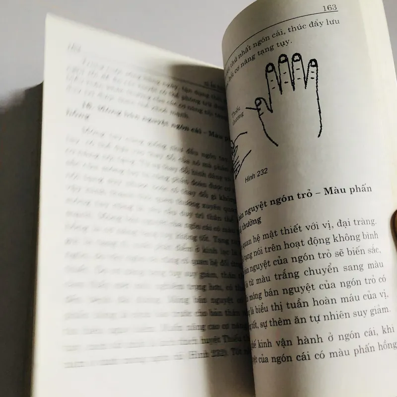 BÍ ẨN BÀN TAY 693608