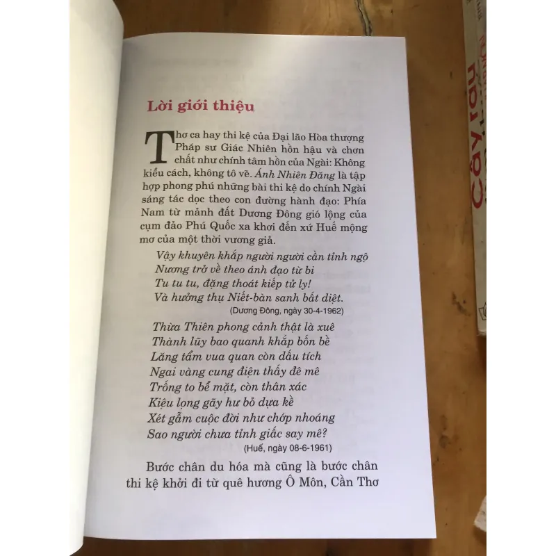 Ánh nhiên đăng 1000592