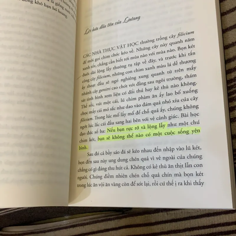 Chiến binh cầu vồng  1025817