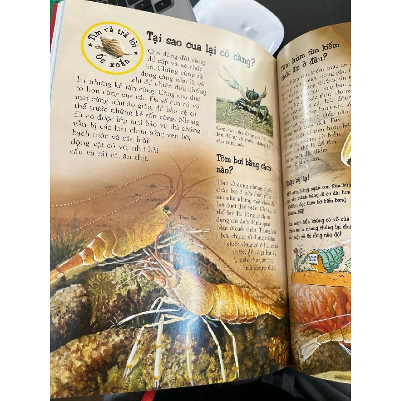 Khám phá thế giới đông vật 782770