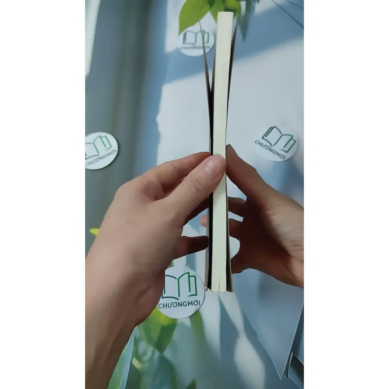 [MIỄN PHÍ BỌC SÁCH] Sấm Trạng Trình Dẫn Giải 928570