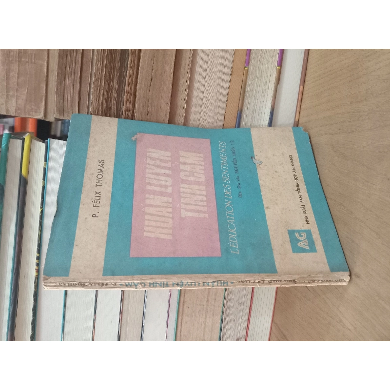 Huấn luyện tình cảm - P. Félix Thomas 739210
