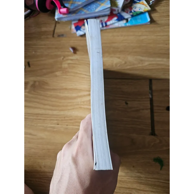 Hội hè đình đám (sách photo)
 689028