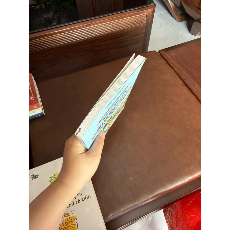 Chiến Lược Của Người Lao Động Việt Nam Trở Về Từ Nhật Bản- K4 1026109