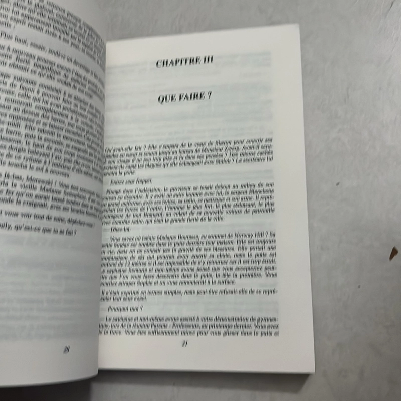 L’année D’emily - Chales Merrill 503540