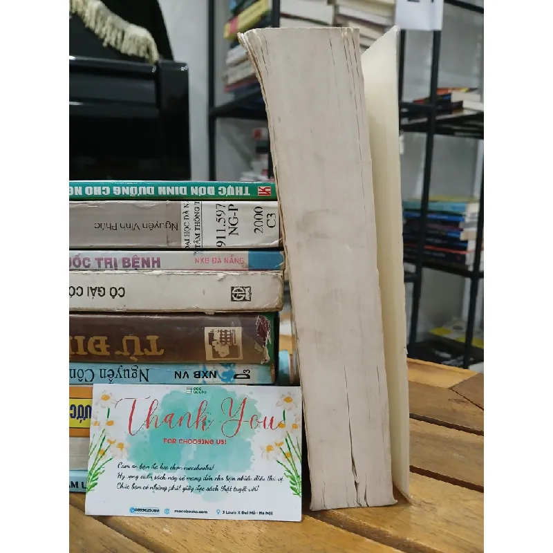 Tuổi hoa tuổi mưa – Úc Tú 588584