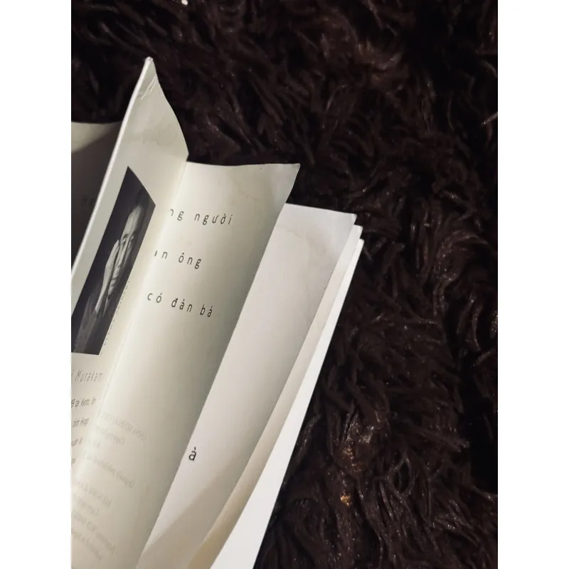 Người TV + những người đàn ông ko có đàn bà 997862