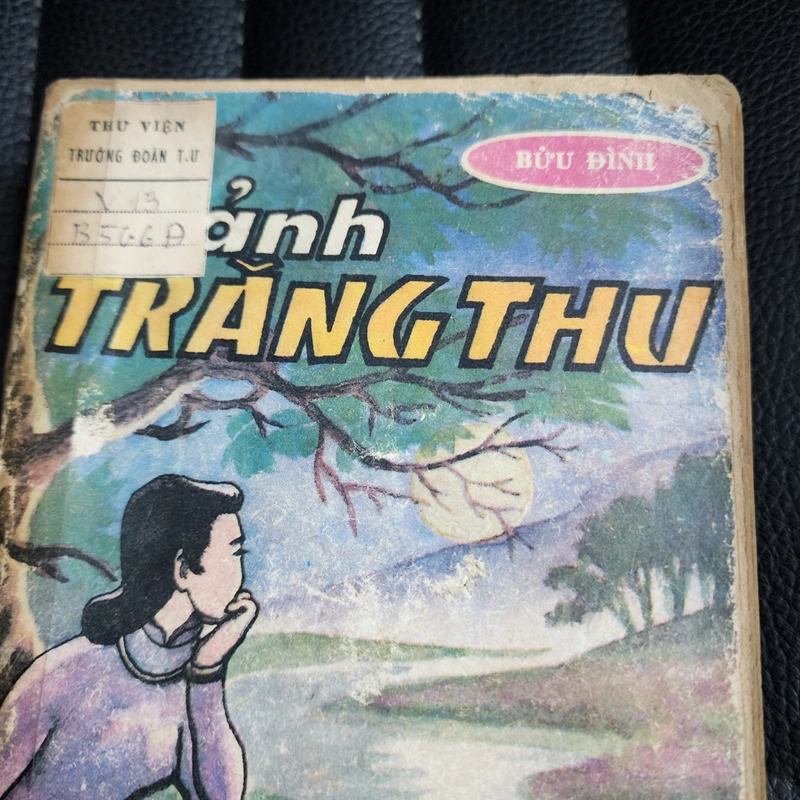 Mảnh trăng thu | Bửu Đình  477547