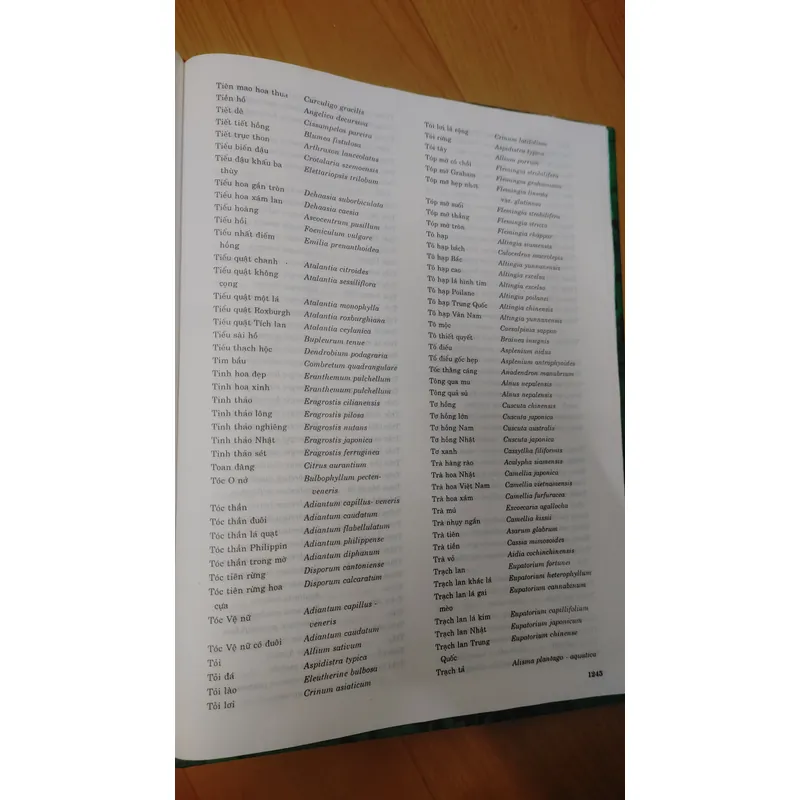 TỪ ĐIỂN THỰC VẬT THÔNG DỤNG TẬP 1 676003