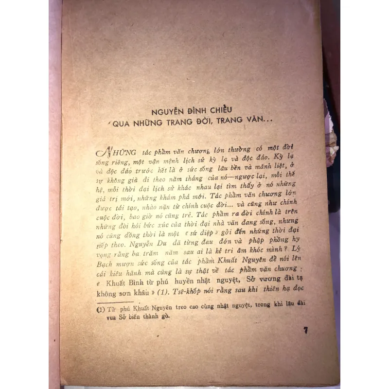 Nguyễn Đình Chiểu trong cuộc đời 998052