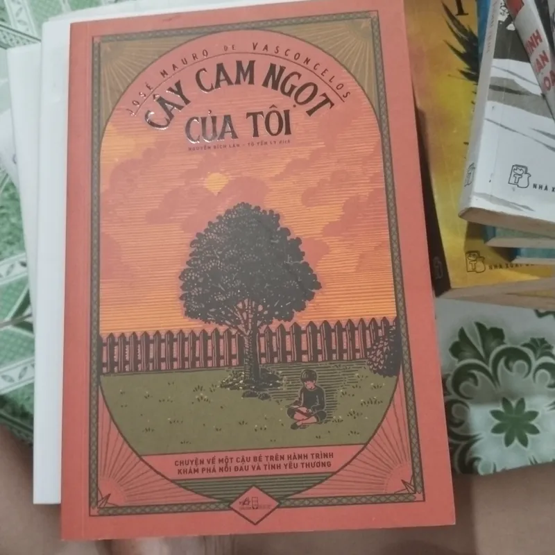Cây cam ngọt của tôi  561542