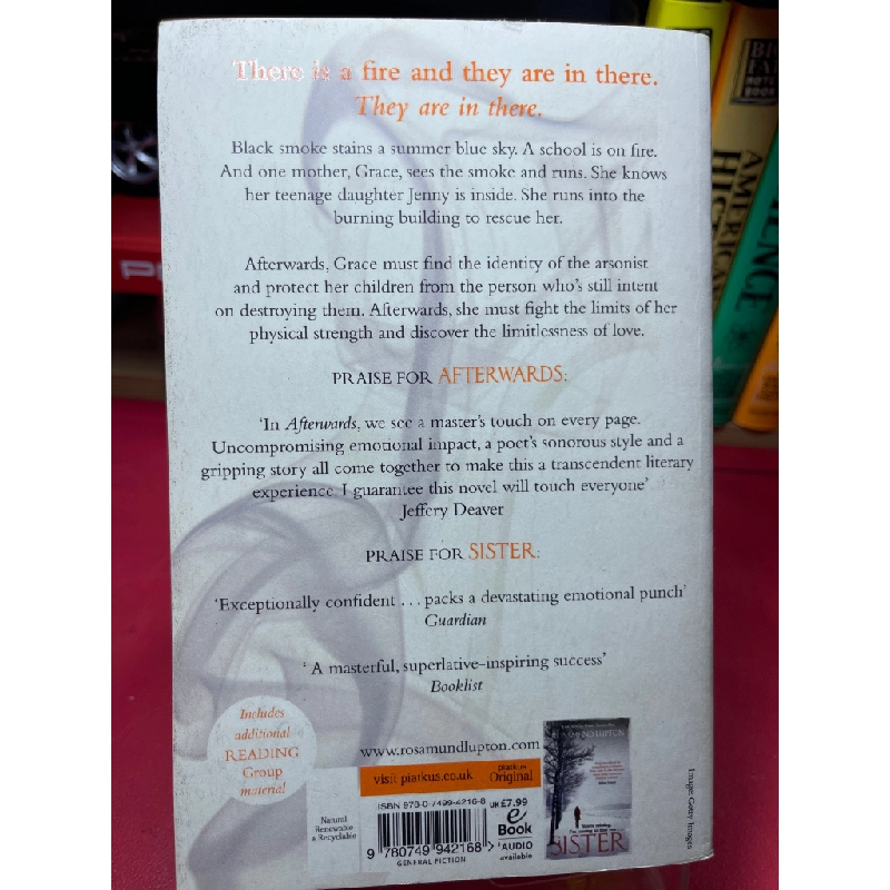 Afterwards mới 90% Rosamund Lupton HPB1905 SÁCH NGOẠI VĂN 459539