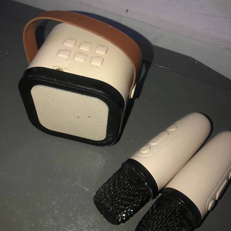 Loa Karaoke Mini di động kèm 2 micro không dây 974357