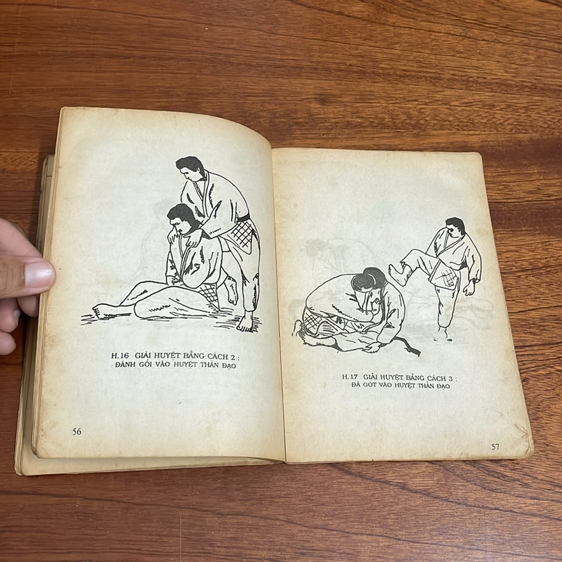 II Sách Võ Thuật: Điểm Huyệt, Giải Huyệt Thiếu Lâm Tự - Võ Sư Từ Thiện, Hồ Tường - 1993 506500