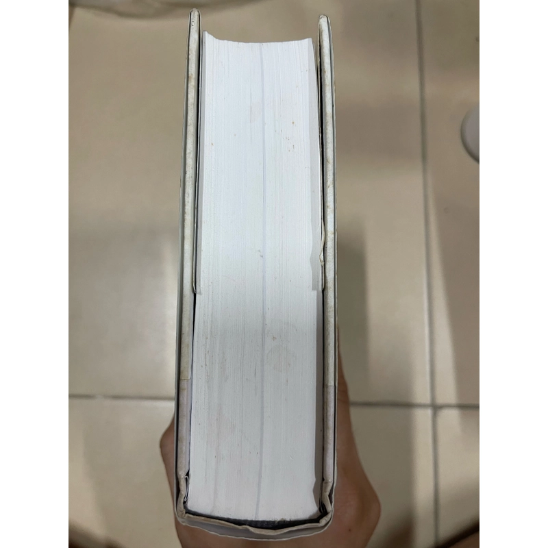 Steve Jobs by Walter Isaacson  501024