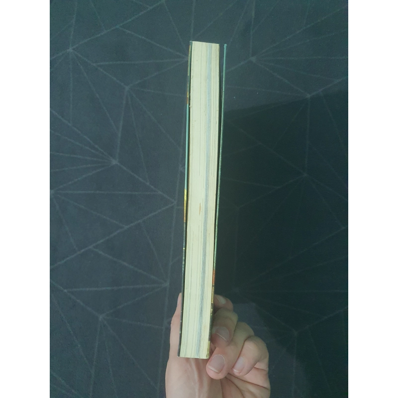 "Con đường Hồi giáo" - Nguyễn Phương Mai 475597