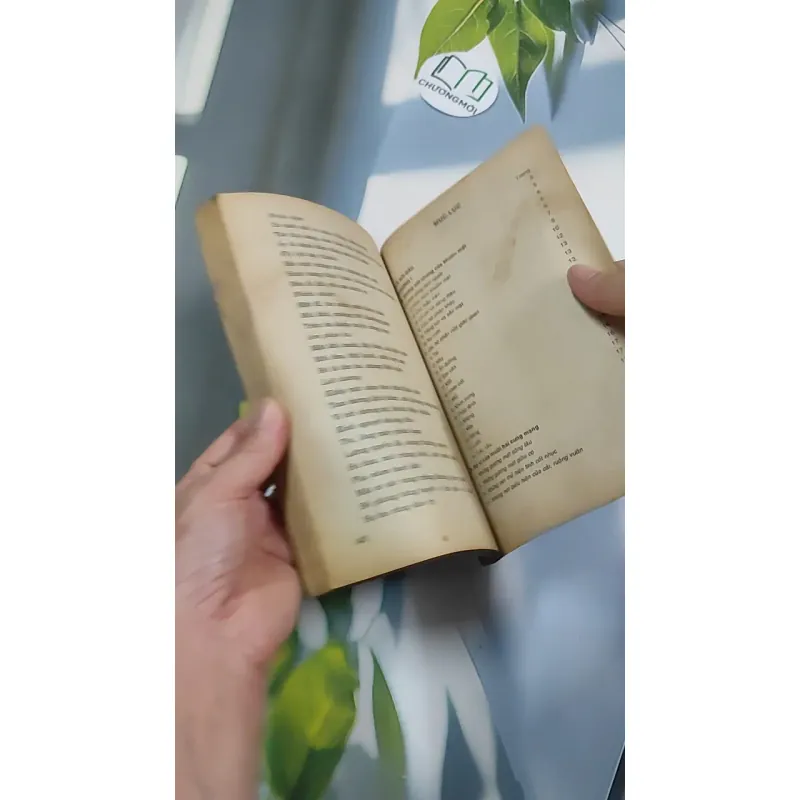 Những Bí Ẩn Trong Cuộc Đời Qua Khuôn Mặt & Bàn Tay - Khánh Vân - Mai Hoàng 776160