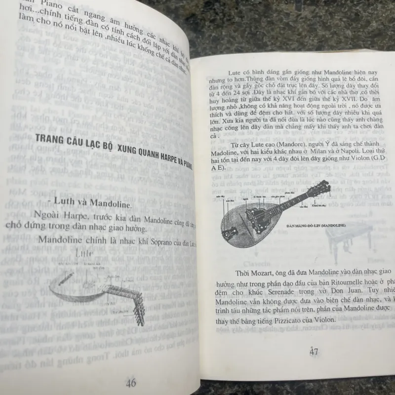 Các nhạc khí trong dàn nhạc giao hưởng Trịnh Tuấn 762303