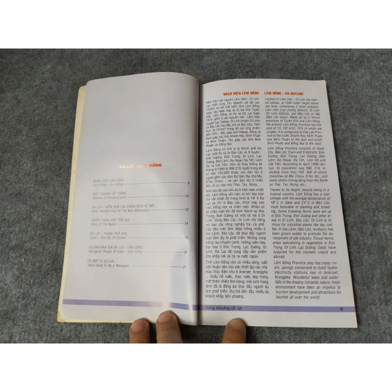 BÂNG KHUÂNG ĐÀ LẠT 718964