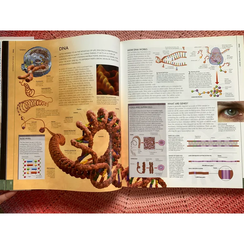 The Human Body Book: An Illustrated Guide to Its Structure, Function and Disorders. 646342