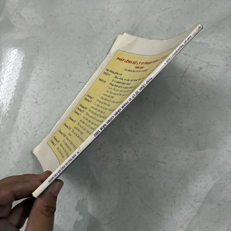 Pháp lệnh xử lý vi phạm hành chính 1010650