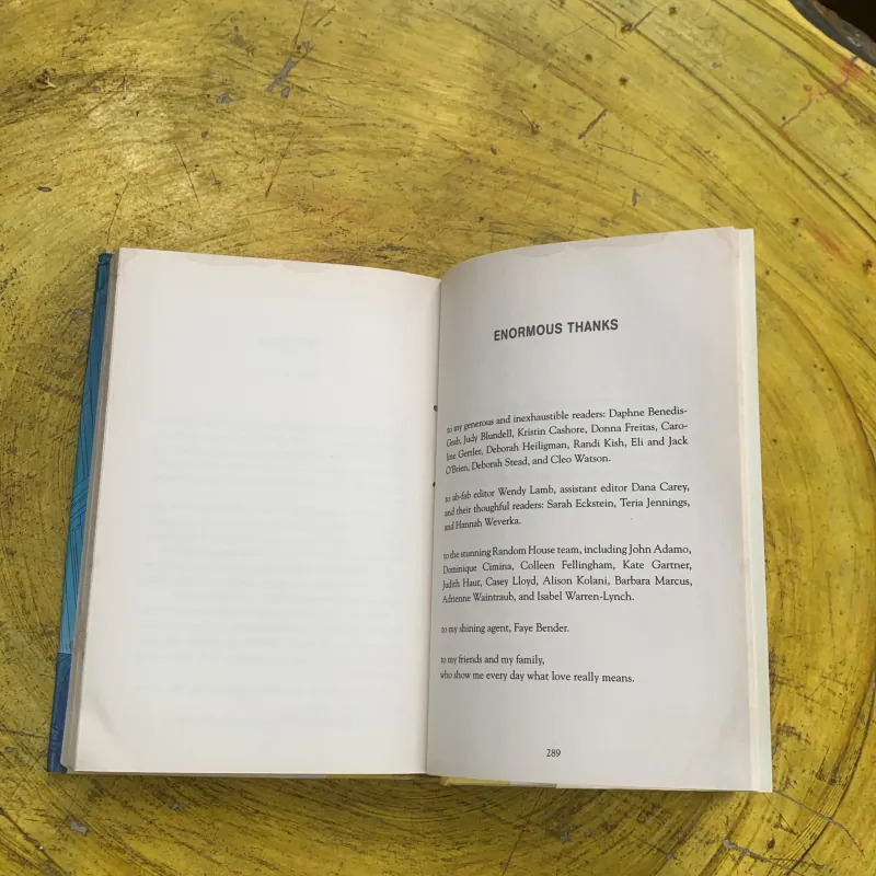 GOODBYE STRANGER - REBECCA STEAD 762299