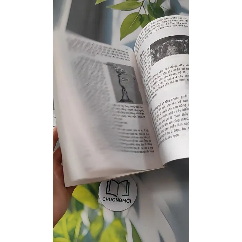 Kỹ Thuật Trồng Hoa Kiểng - Huỳnh Văn Thới 727272