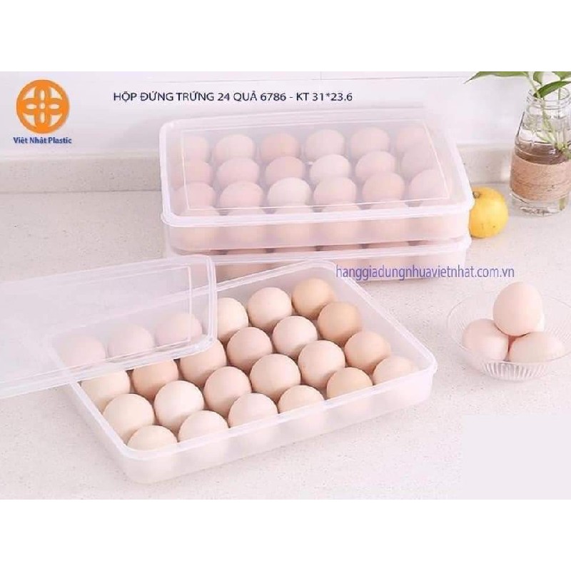 🥚🥚 Khay đựng trứng 1 tầng 24 quả🥚🥚 
 25713