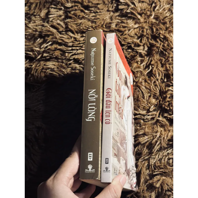 Combo Nỗi Lòng + Gối đầu lên cỏ 1020763