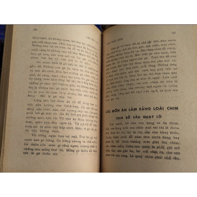 Làm bếp giỏi - Vân Đài 121829