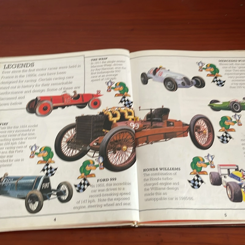 PICTURE BOOK How it goes racing cars 534293