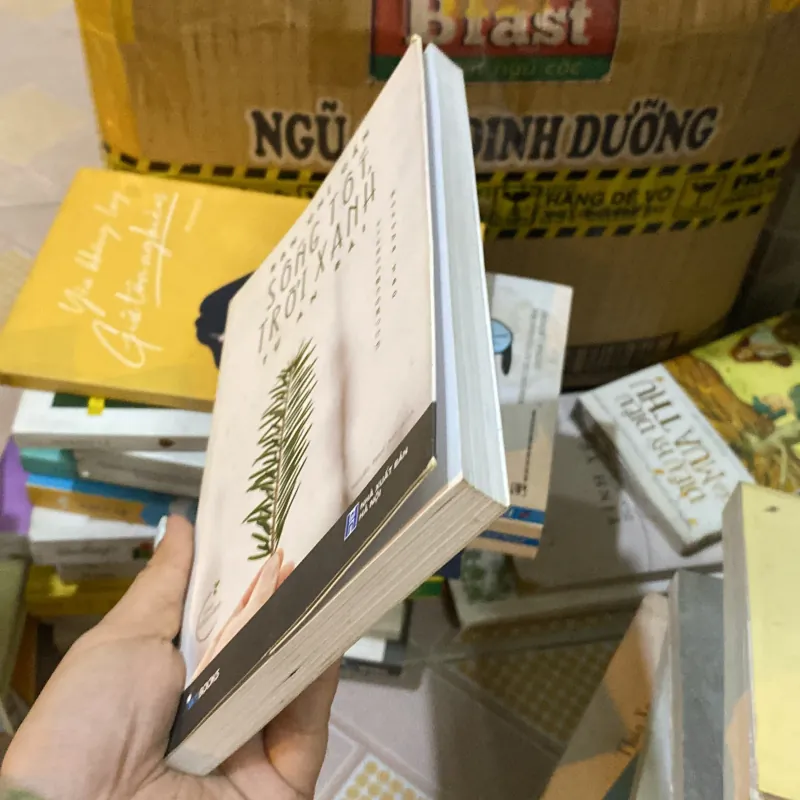 Bạn chỉ cần sống tốt trời xanh tự an bài  929502