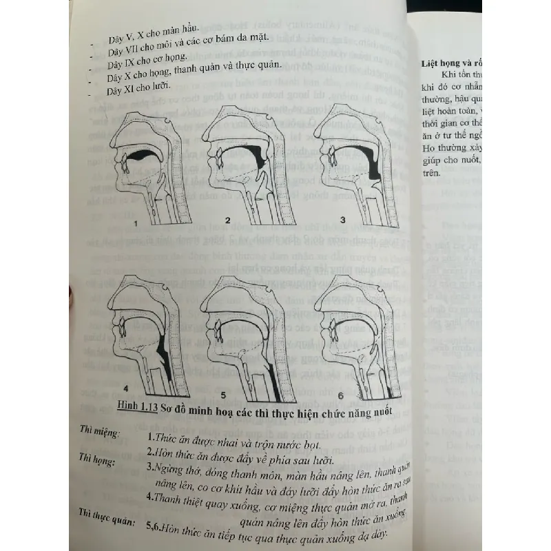 Viêm họng amidam và VA - PGS,TS. Nguyễn Hữu Khôi 719525