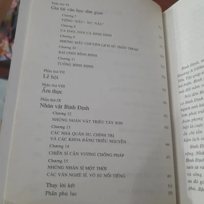 BÌNH ĐỊNH, đất Võ trời Văn 1029795